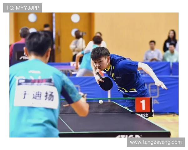 乒乓球传奇之路：深入武汉乒乓球队的训练与荣耀探索