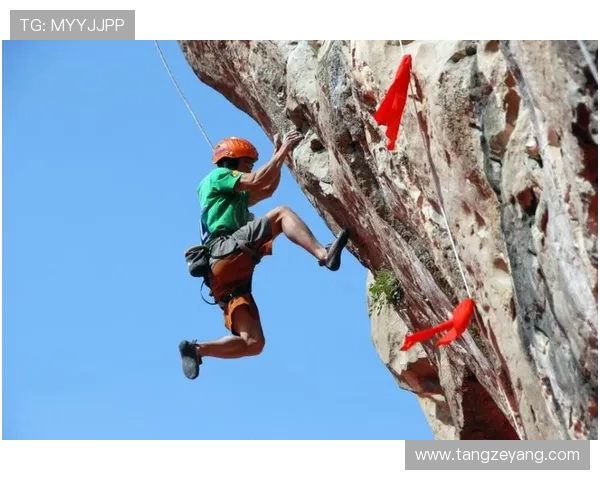 广州攀岩队与深圳攀岩队赛后复盘分析灵活性表现与战术对比