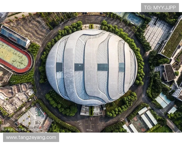 广州极限运动队灵活性表现的数据分析与提升策略探讨