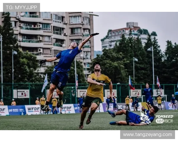 成都飞盘队以卓越表现领跑最新飞盘速度TOP10榜单