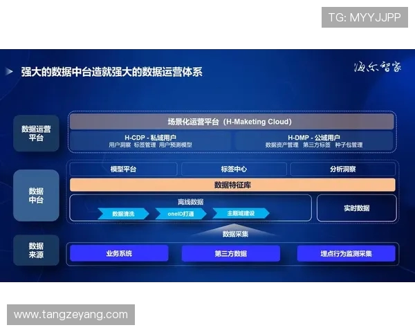 杭州排球队的转型之路：从传统强队到现代化竞技新标杆的探索与实践